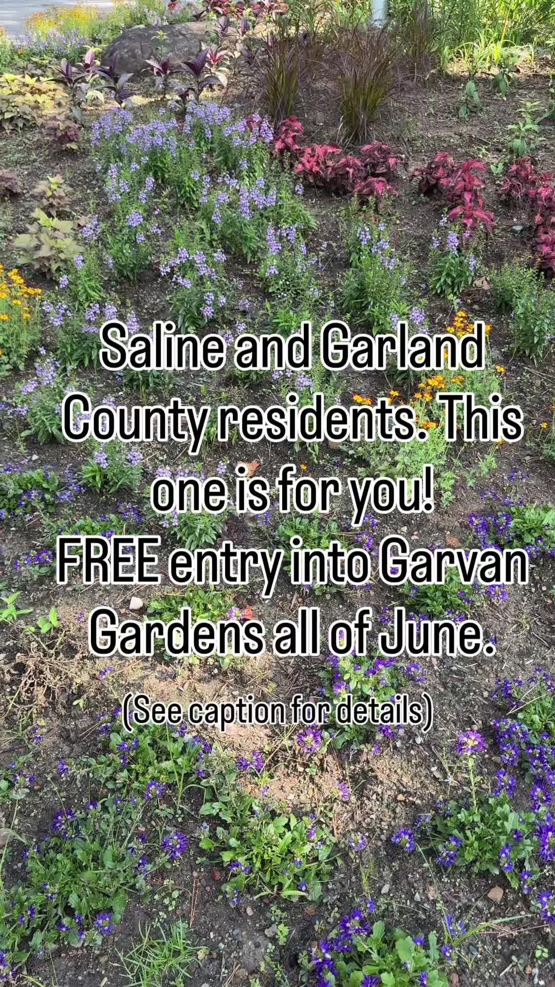 Garvan Woodland Gardens