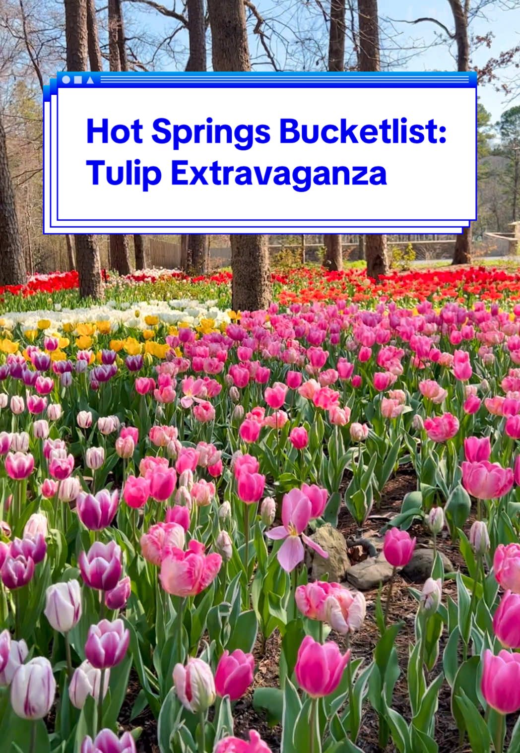 Garvan Woodland Gardens