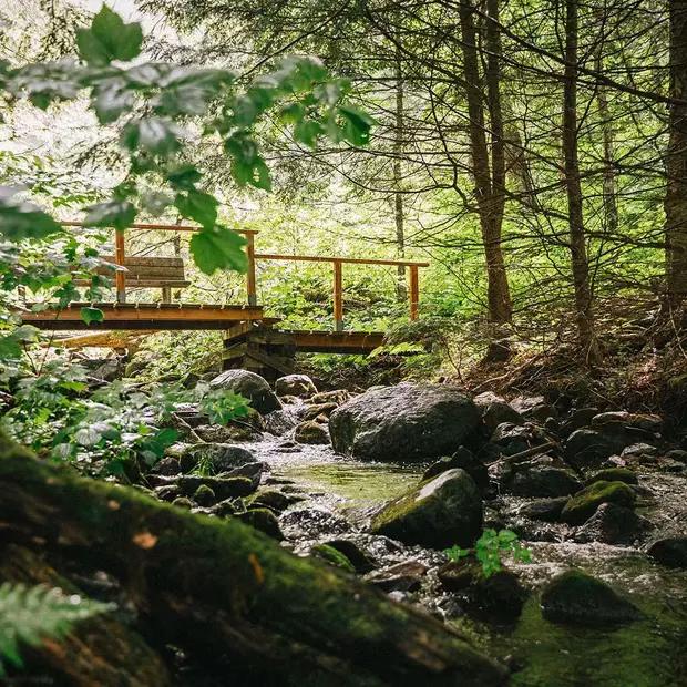 Gatineau Park