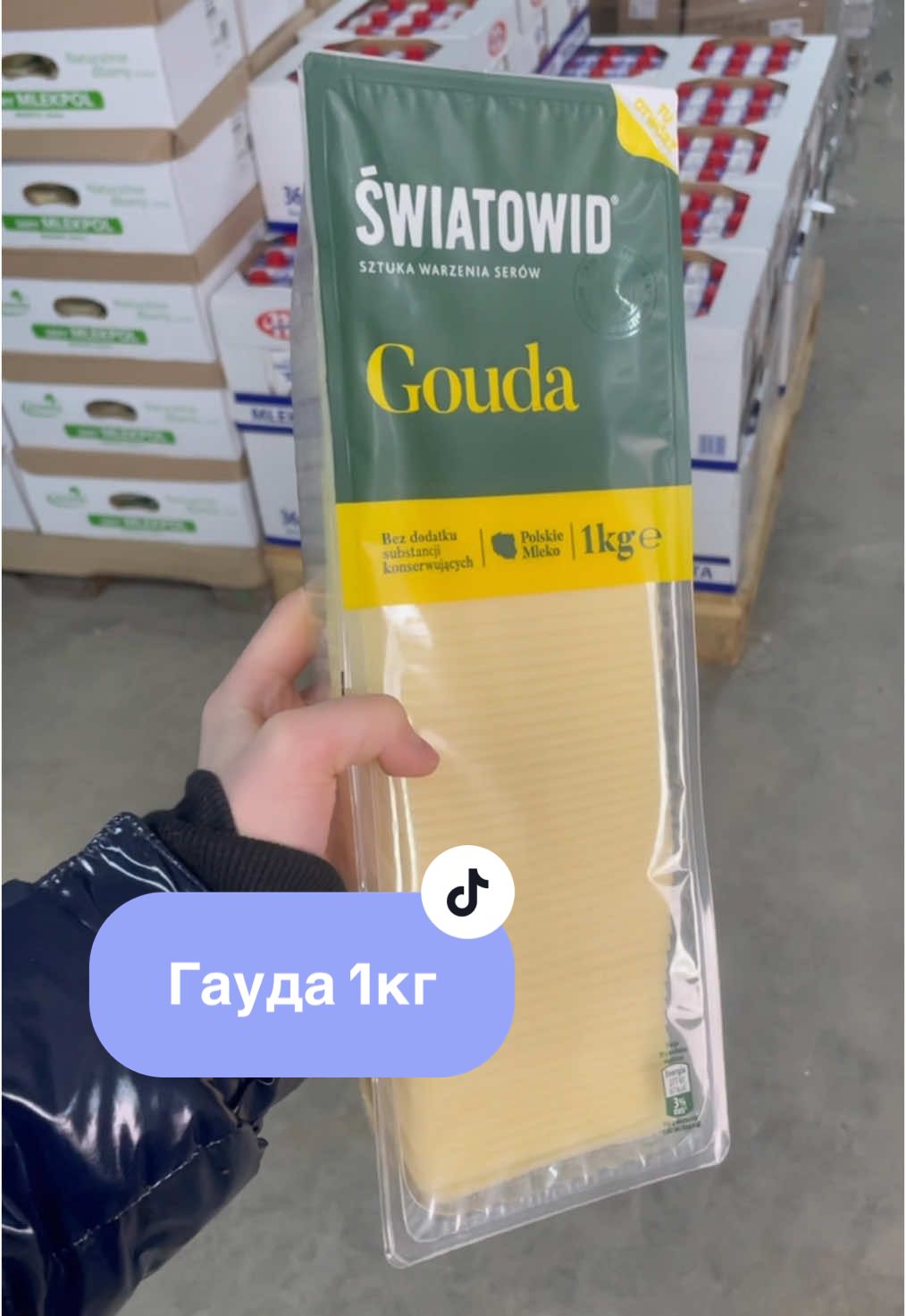 Гауда