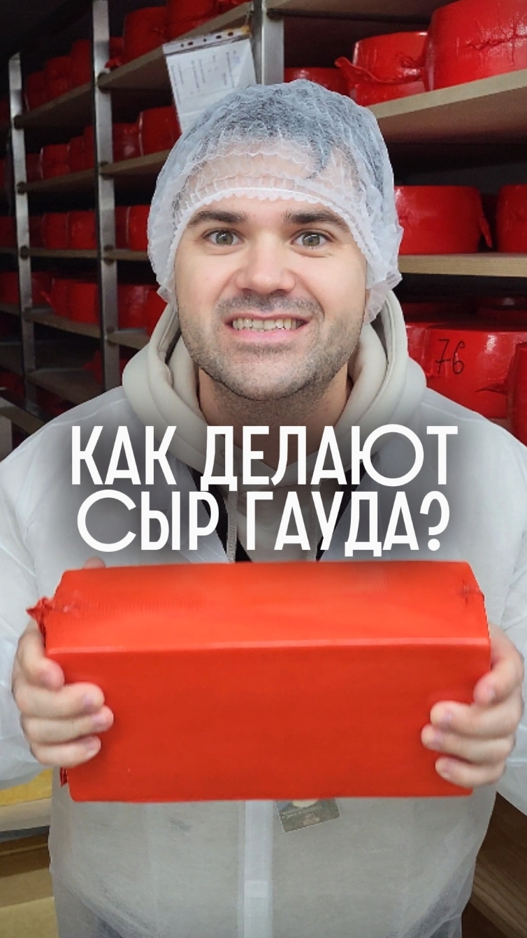 Гауда