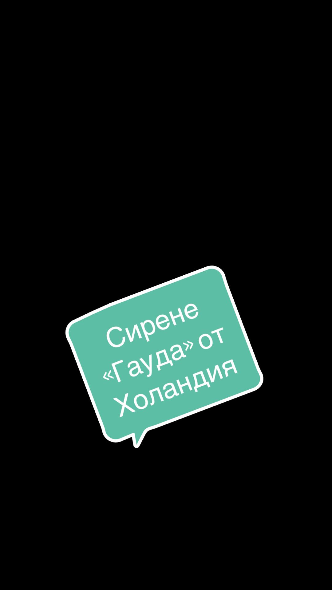 Гауда