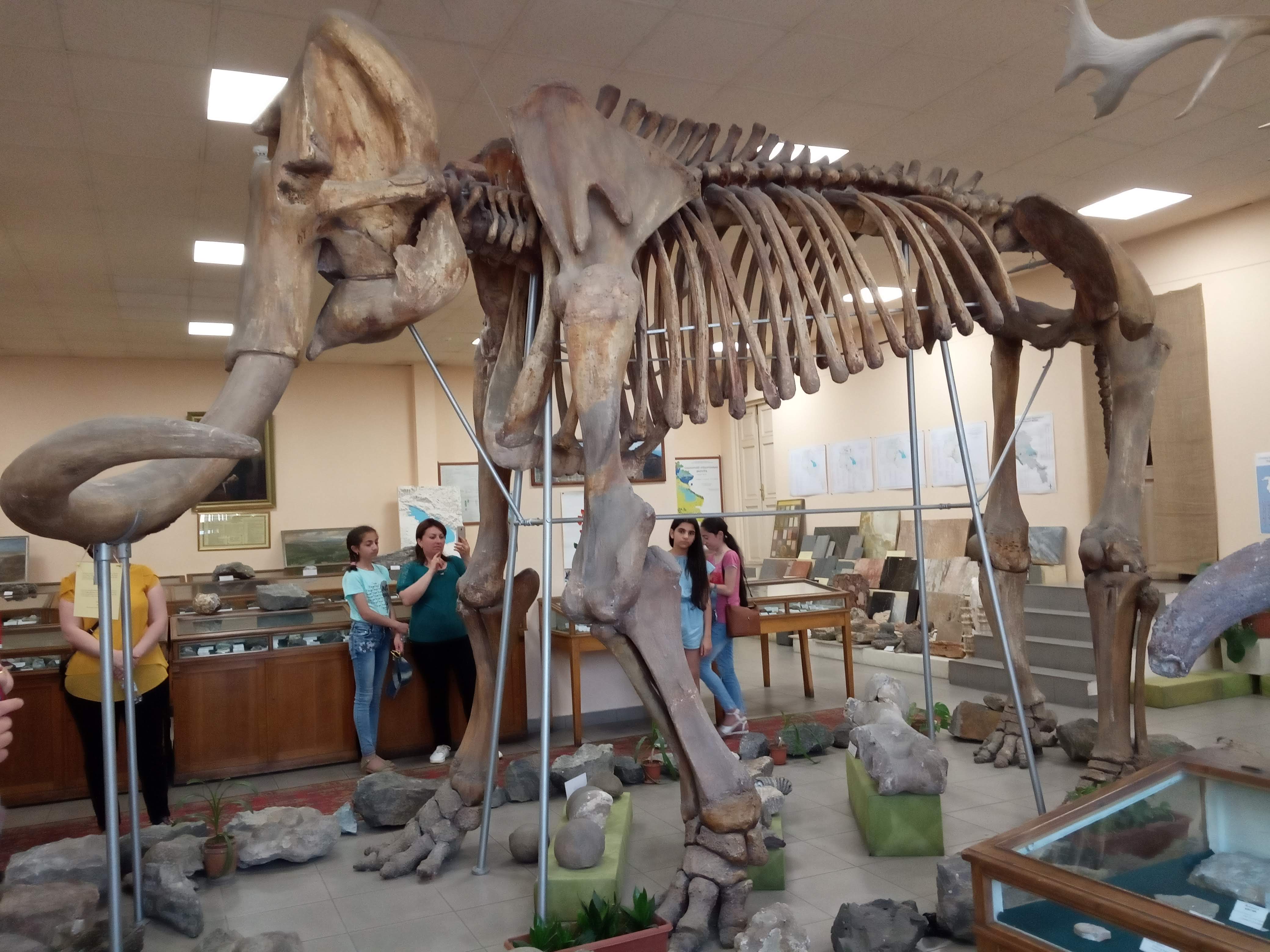 Lori-Pambak Geological Museum (Лори-Памбакский геологический музей)