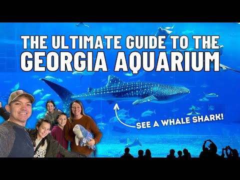 Georgia Aquarium