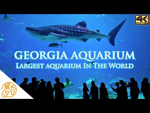 Georgia Aquarium