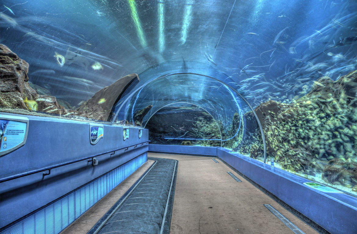 Georgia Aquarium