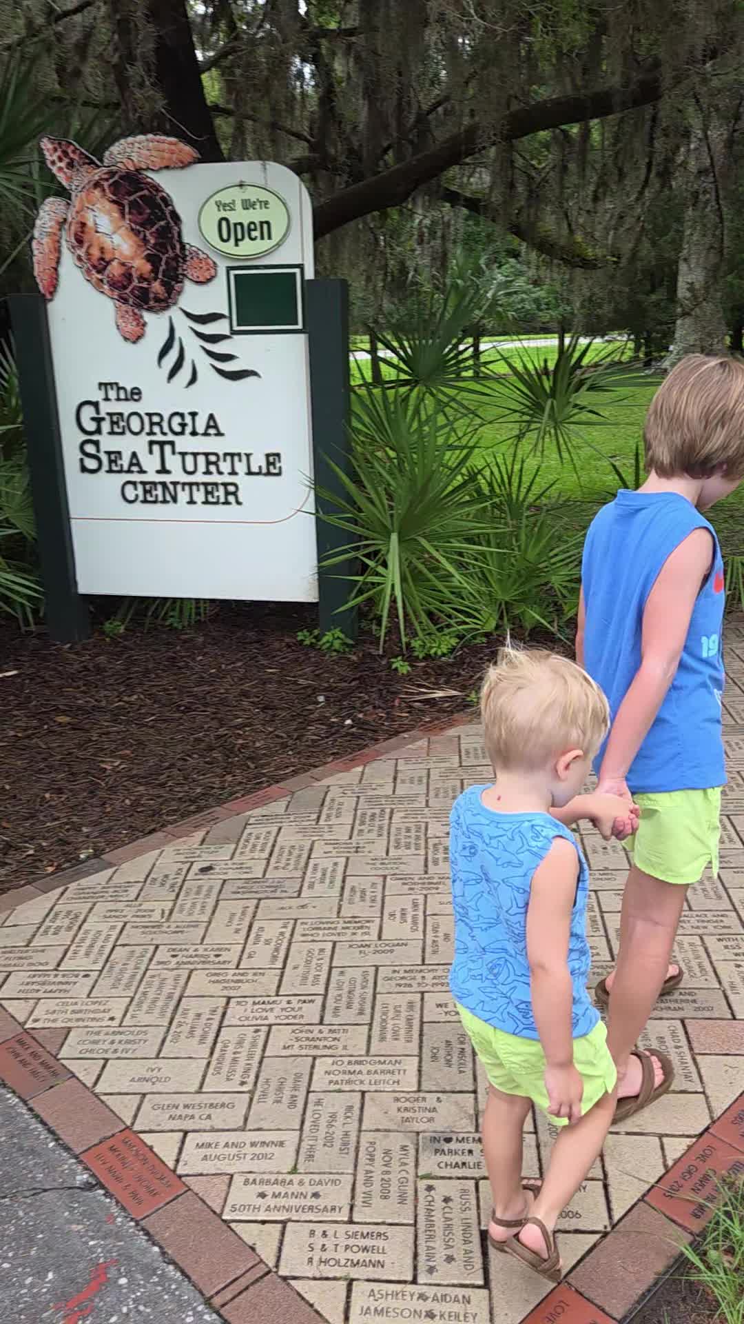 Georgia Sea Turtle Center