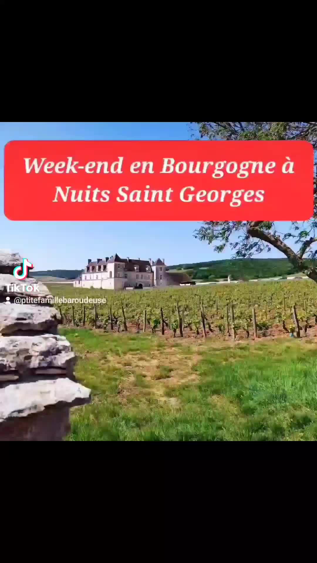 Gevrey-Chambertin village (Côte de Nuits)
