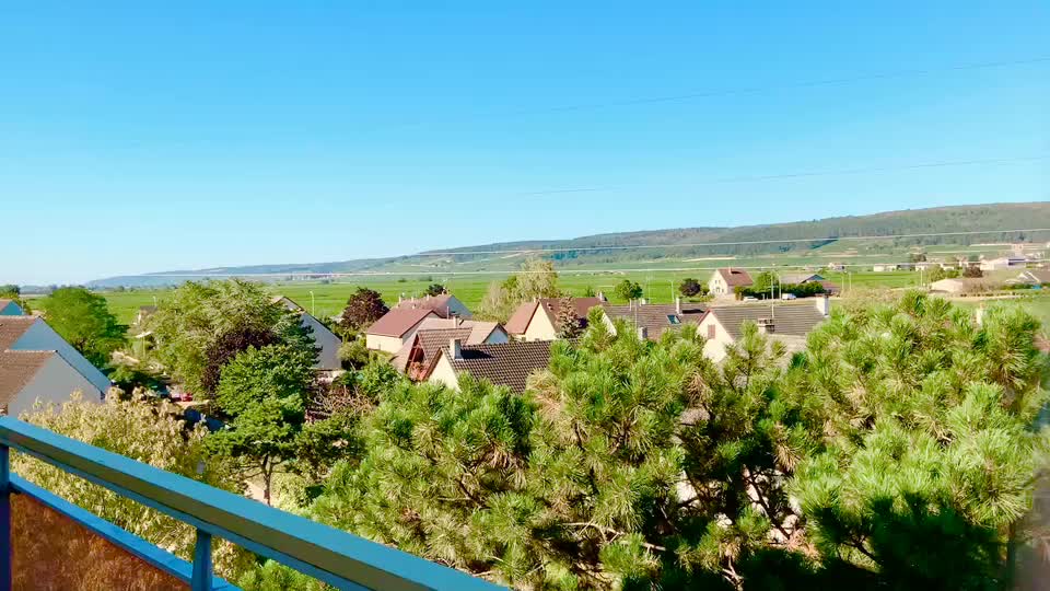 Gevrey-Chambertin village (Côte de Nuits)