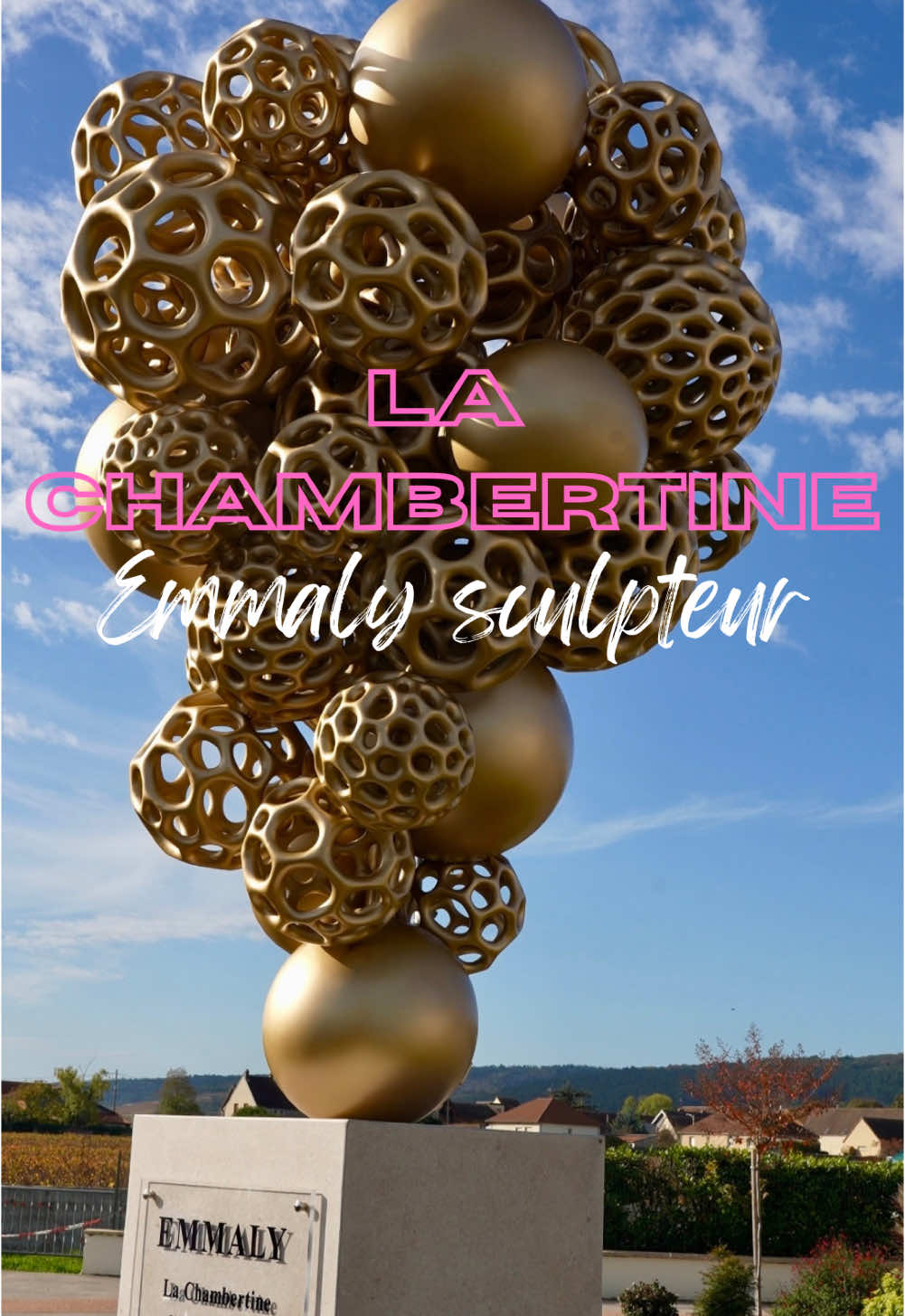 Gevrey-Chambertin village (Côte de Nuits)
