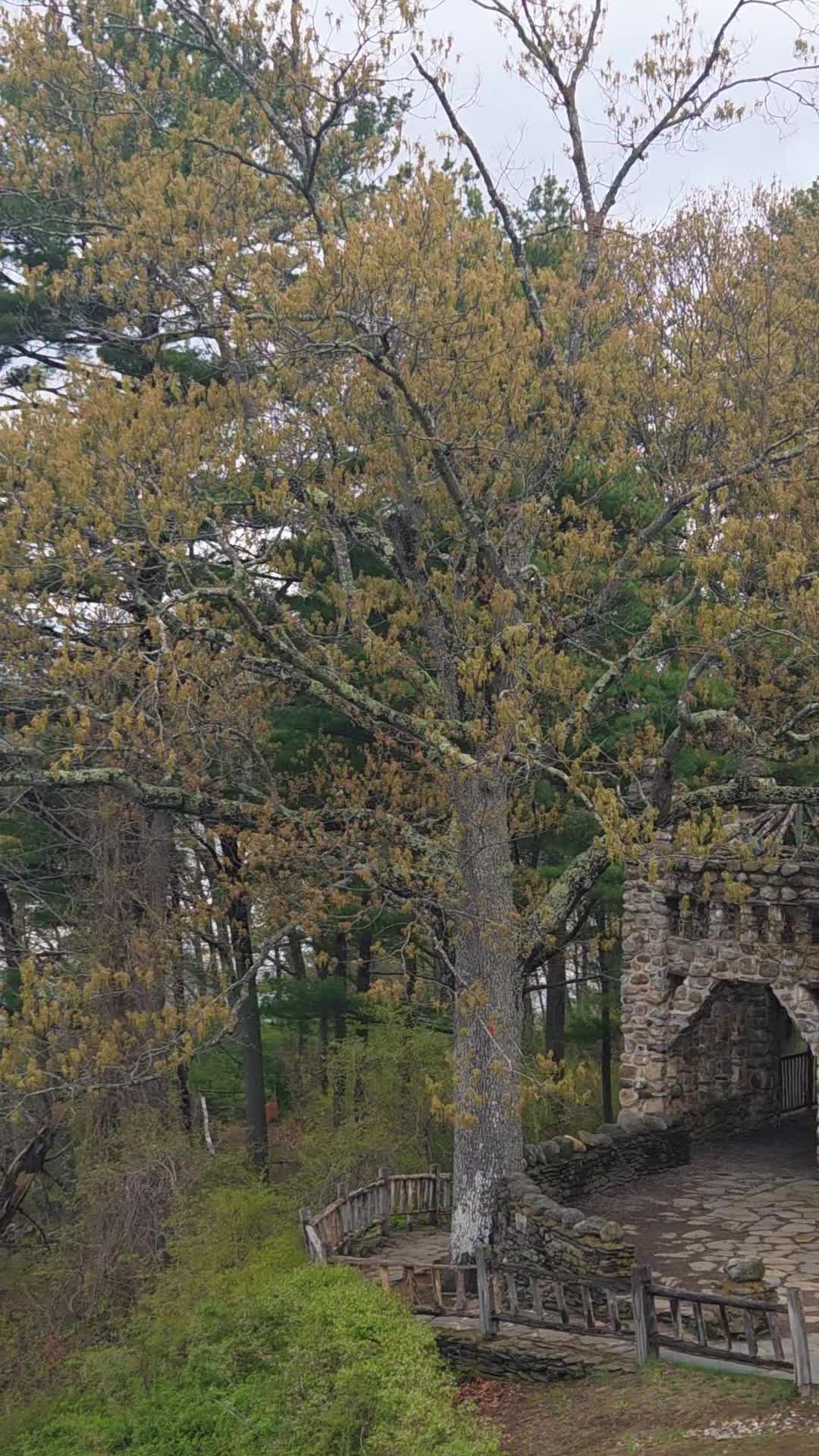 Gillette Castle State Park