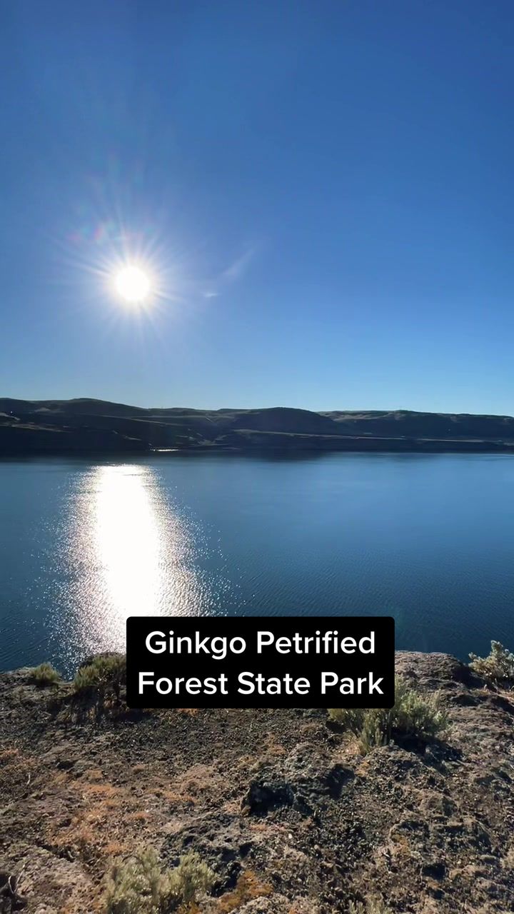 Ginkgo Petrified Forest State Park
