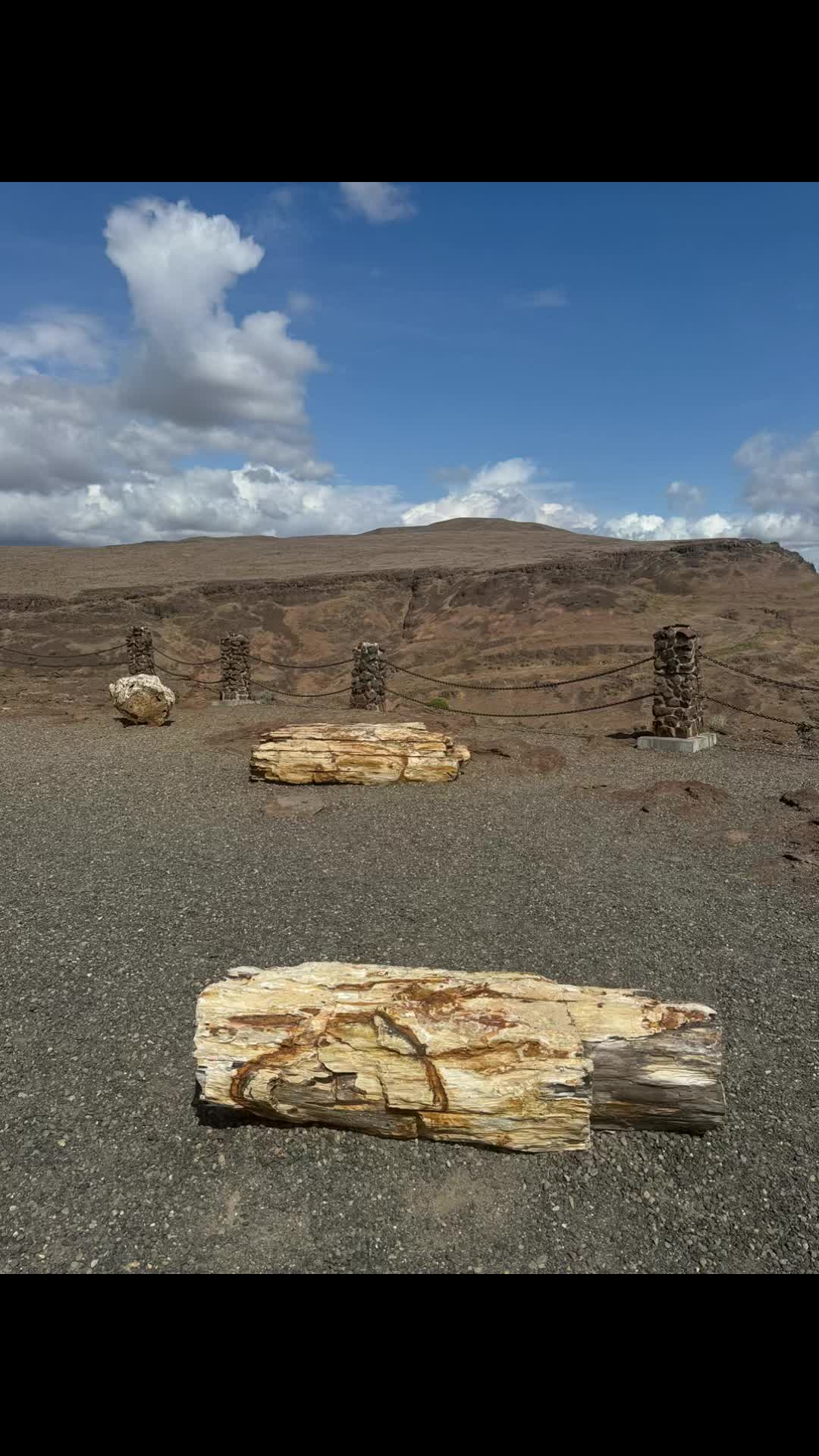 Ginkgo Petrified Forest State Park