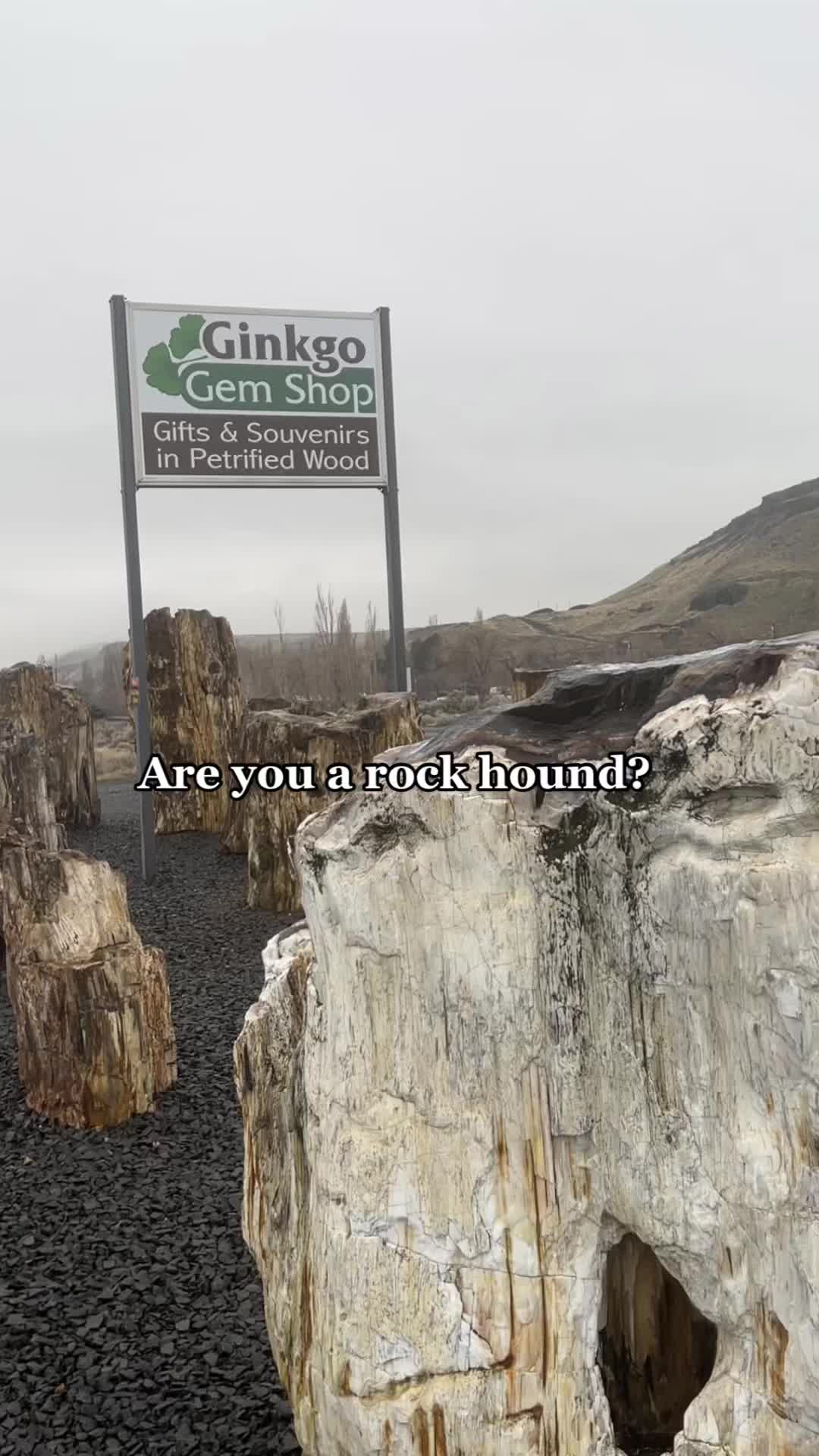 Ginkgo Petrified Forest State Park