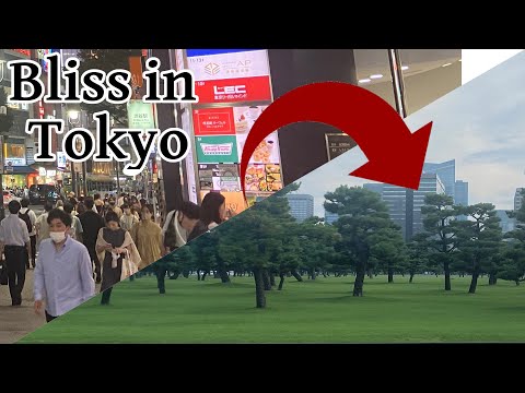 Ginza Sony Park