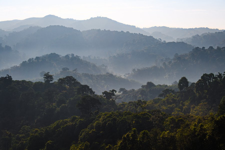 Gishwati-Mukura National Park