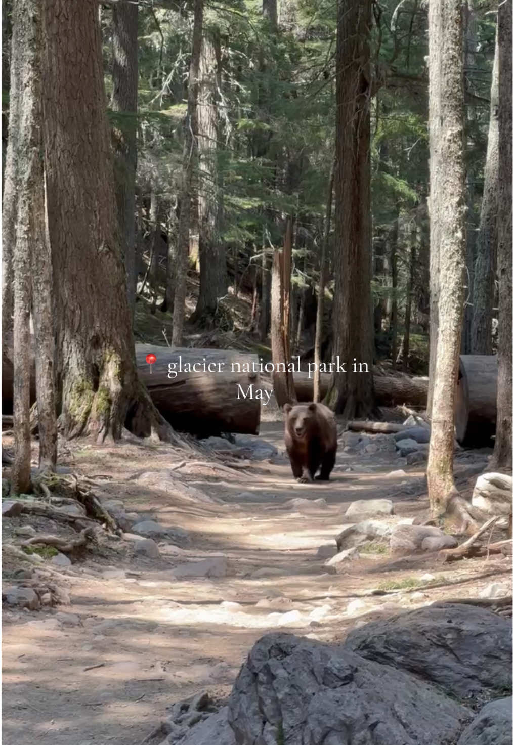 Glacier National Park