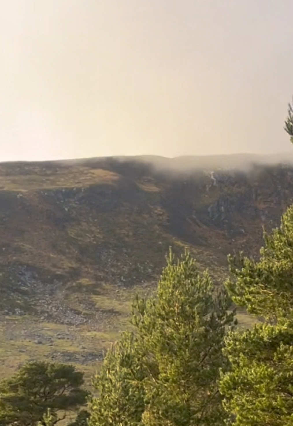 Glendalough and Wicklow Mountains National Park