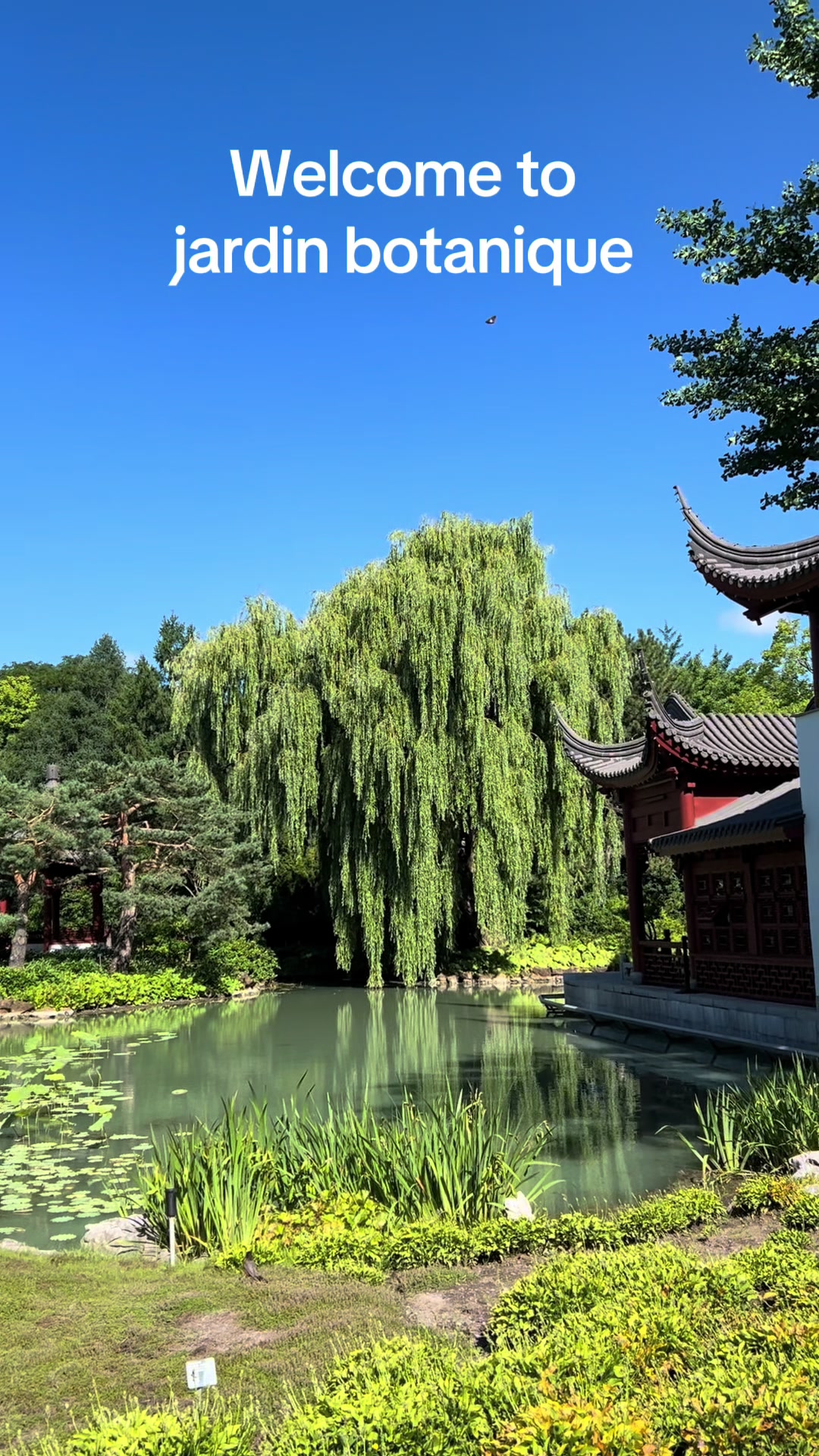 גן החיות Jardin Botanique de Montreal