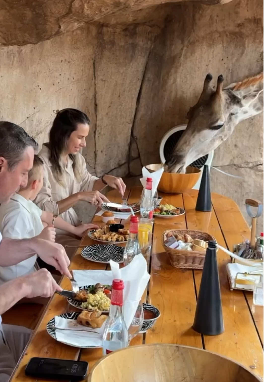 גן החיות אמירייטס פארק זואו (Emirates Park Zoo)