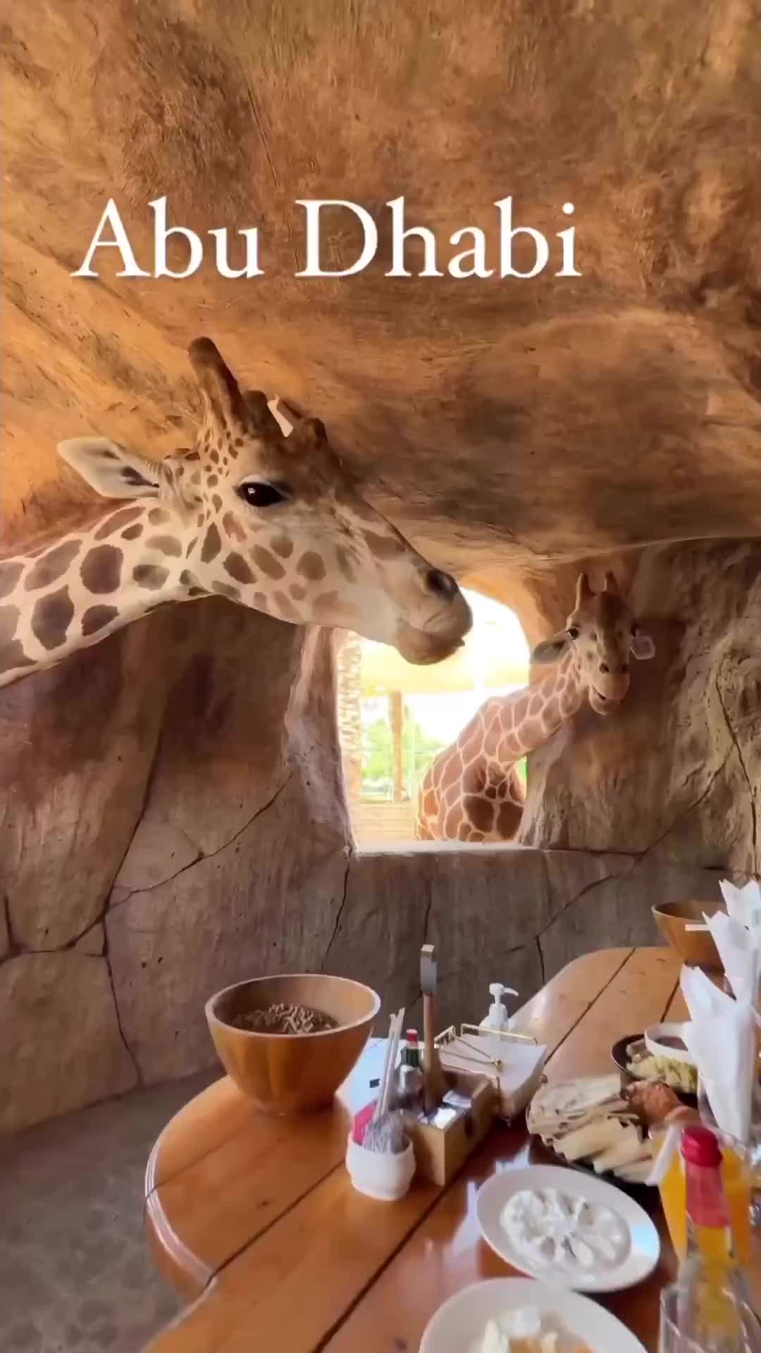 גן החיות אמירייטס פארק זואו (Emirates Park Zoo)
