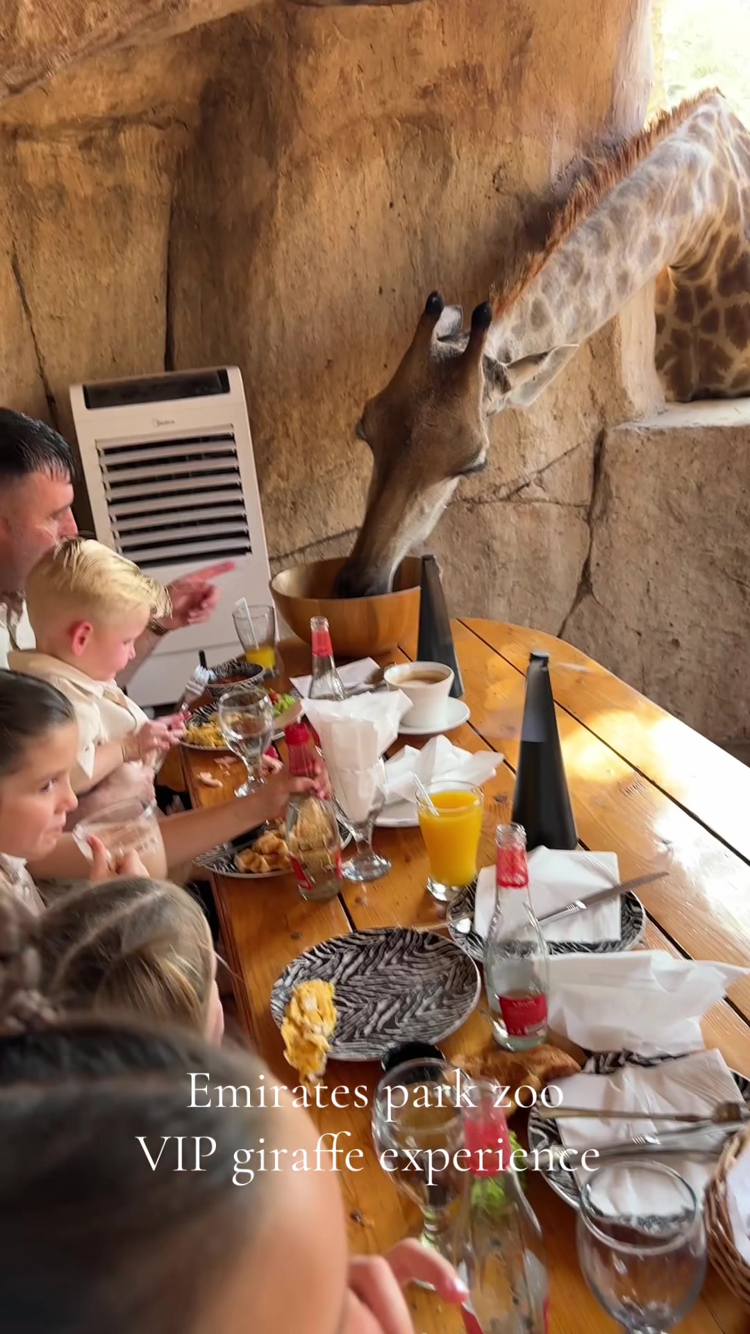 גן החיות אמירייטס פארק זואו (Emirates Park Zoo)