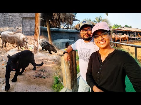 גן החיות אמירייטס פארק זואו (Emirates Park Zoo)