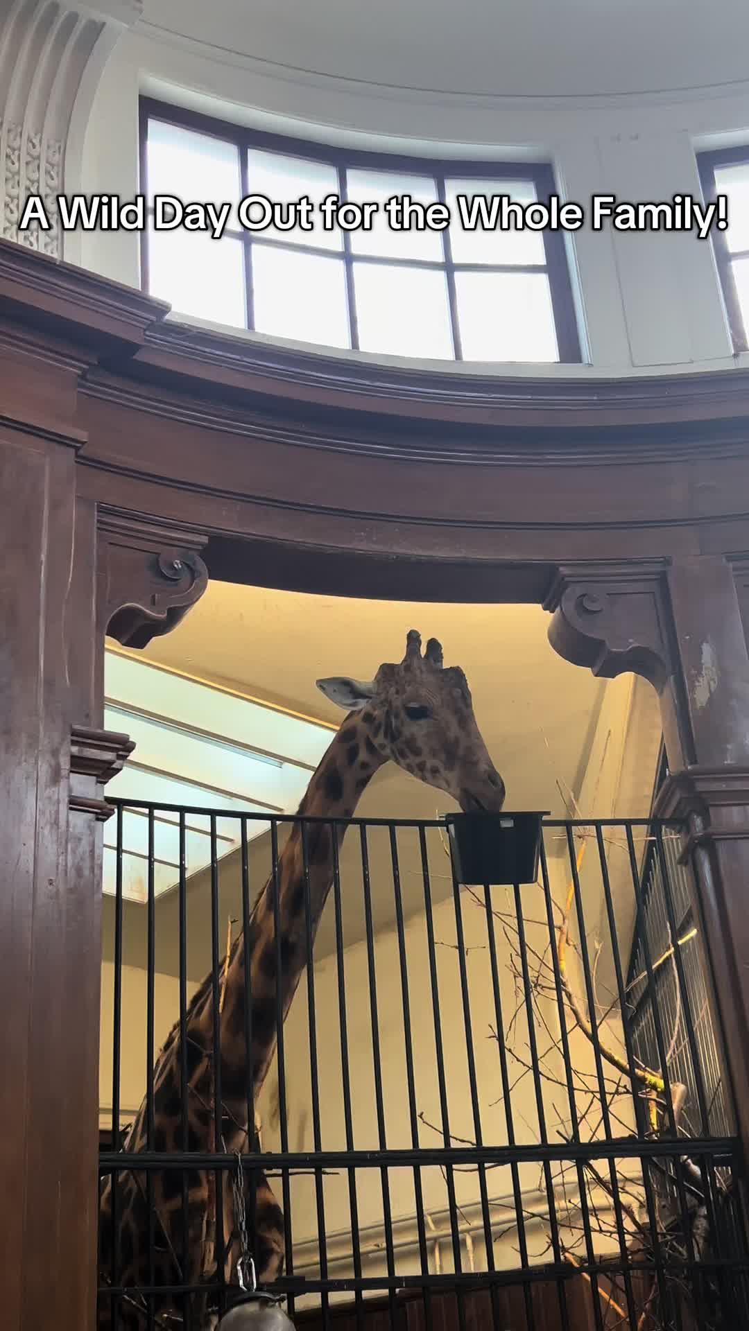 גן החיות של בזל (Zoo Basel)