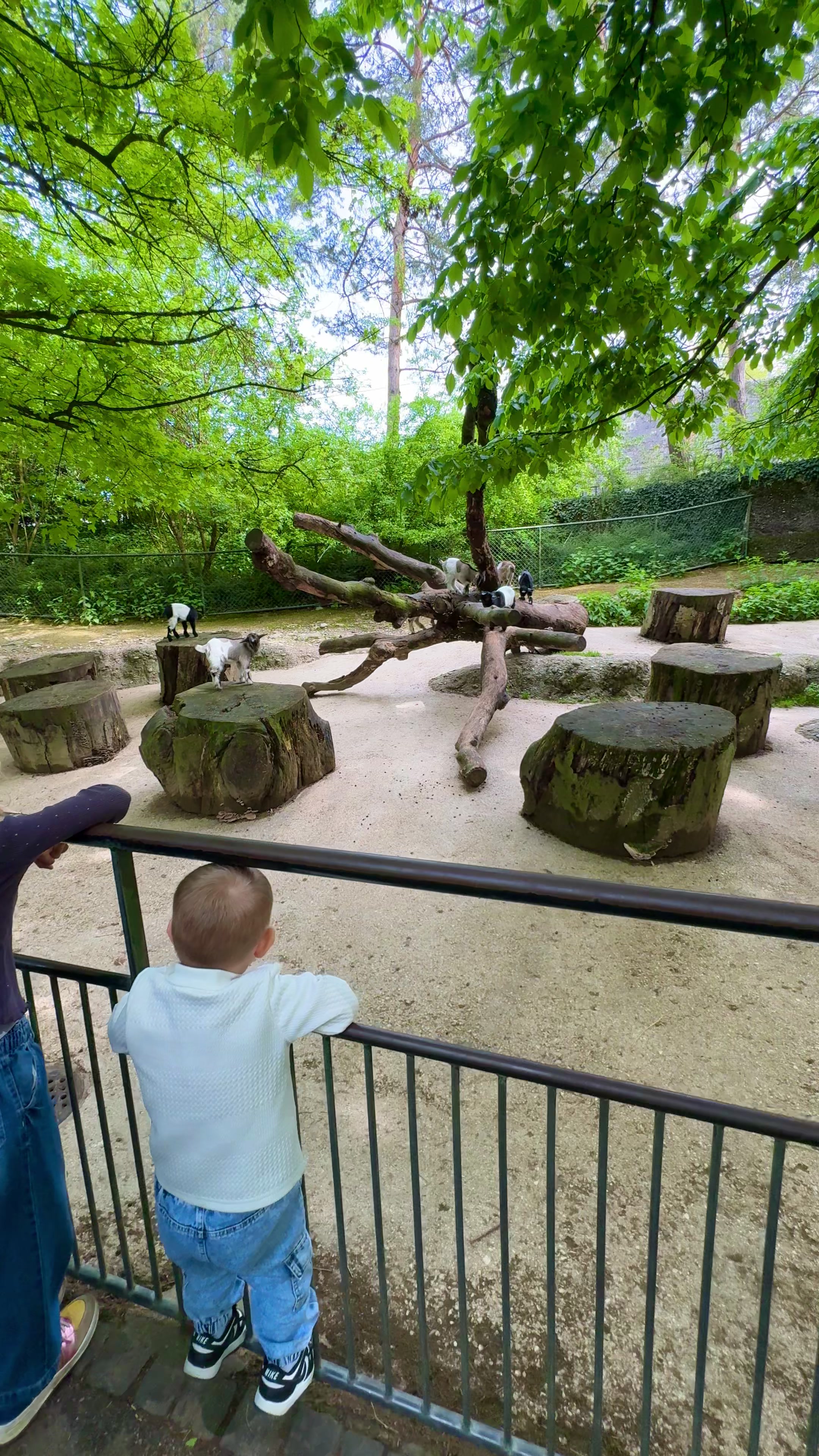 גן החיות של בזל (Zoo Basel)