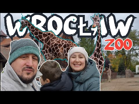 גן החיות של גדנסק (Zoo Gdańsk)