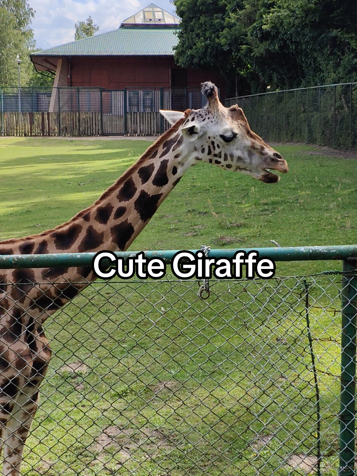 גן החיות של גדנסק (Zoo Gdańsk)