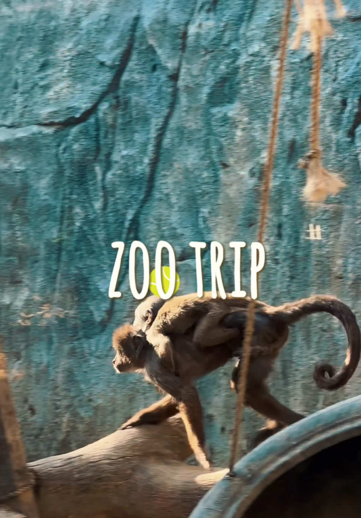 גן החיות של לימסול (Limassol Zoo / Dasoudi Forest area)