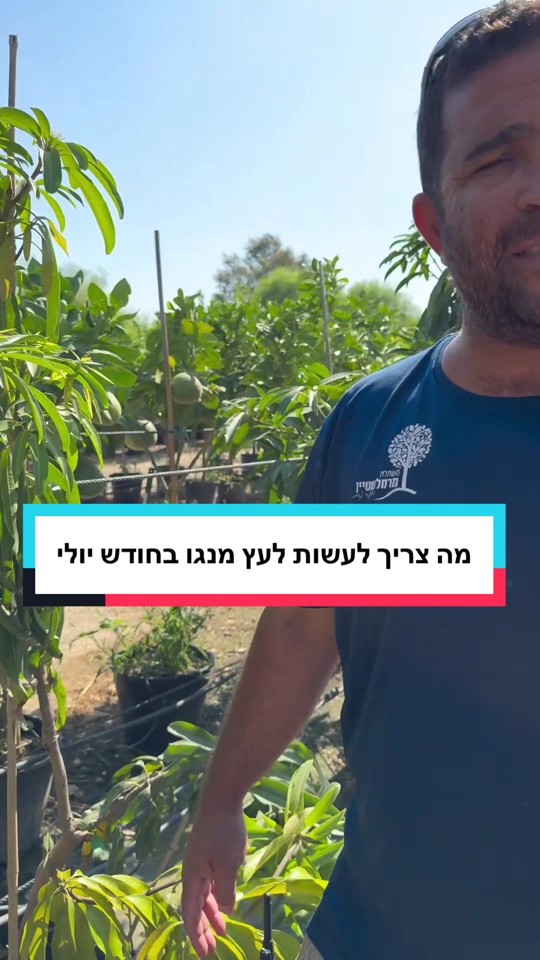 גני לומביני (Lumbini Park)