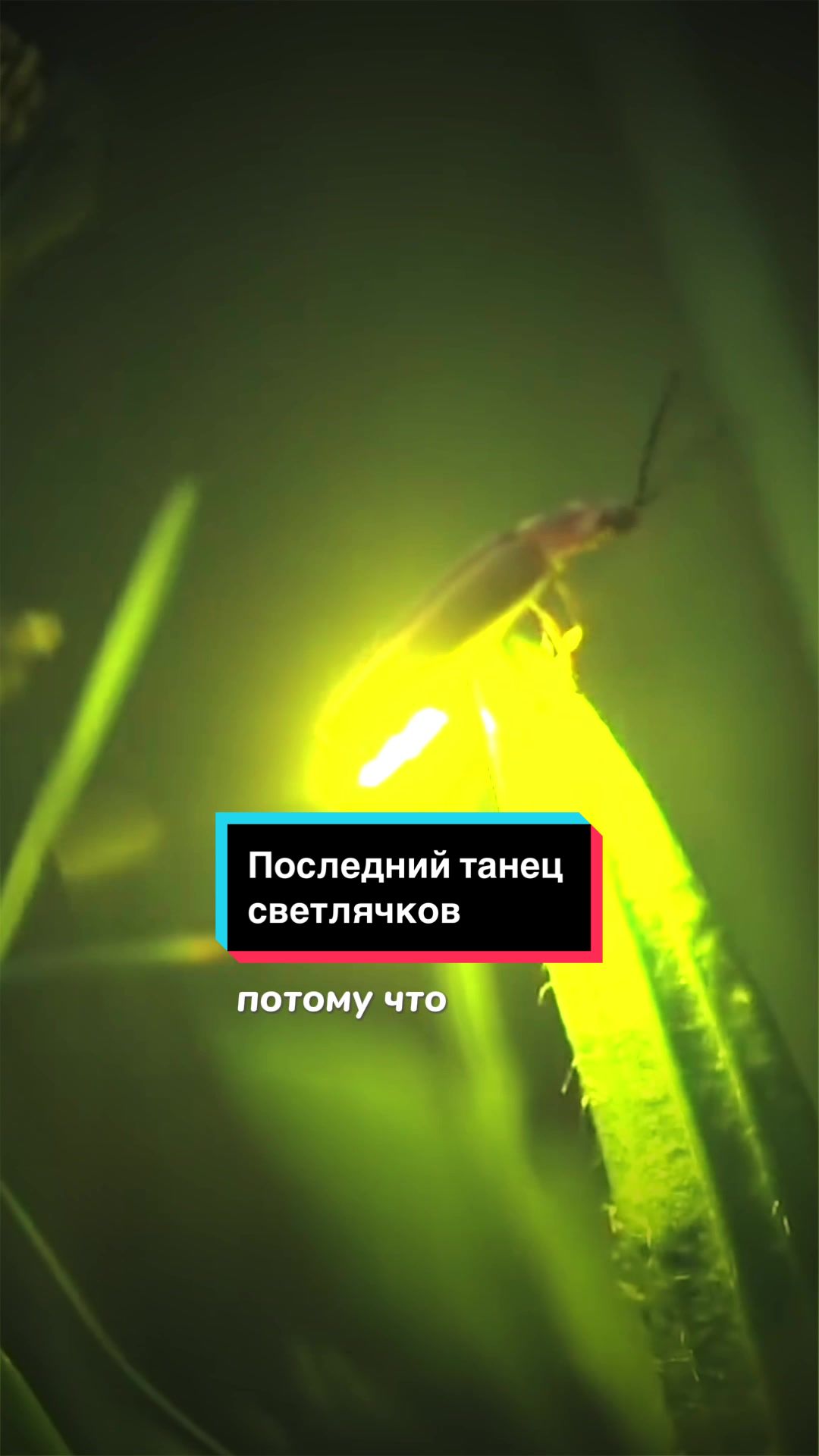 Гьор, Венгрия