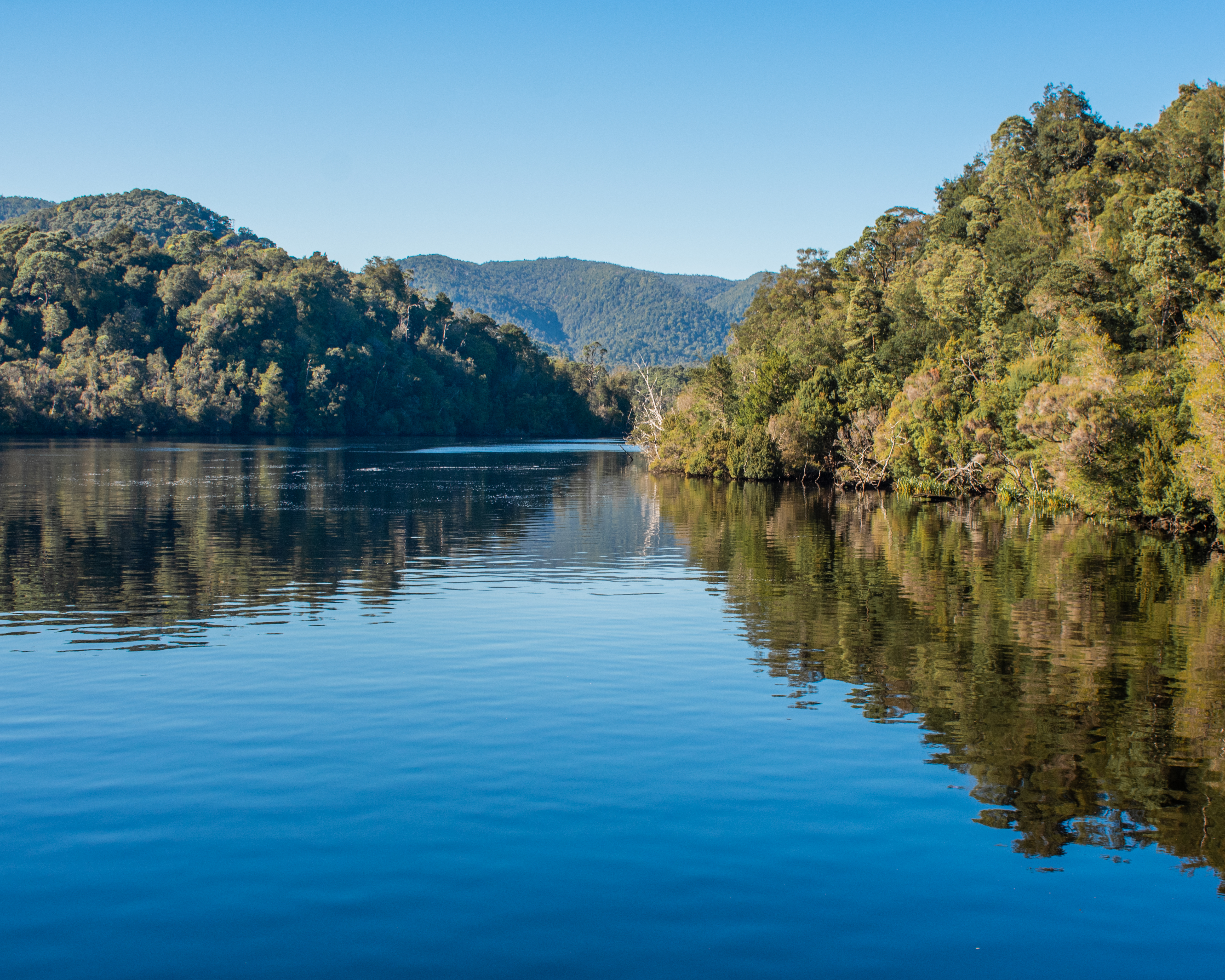 Gordon River