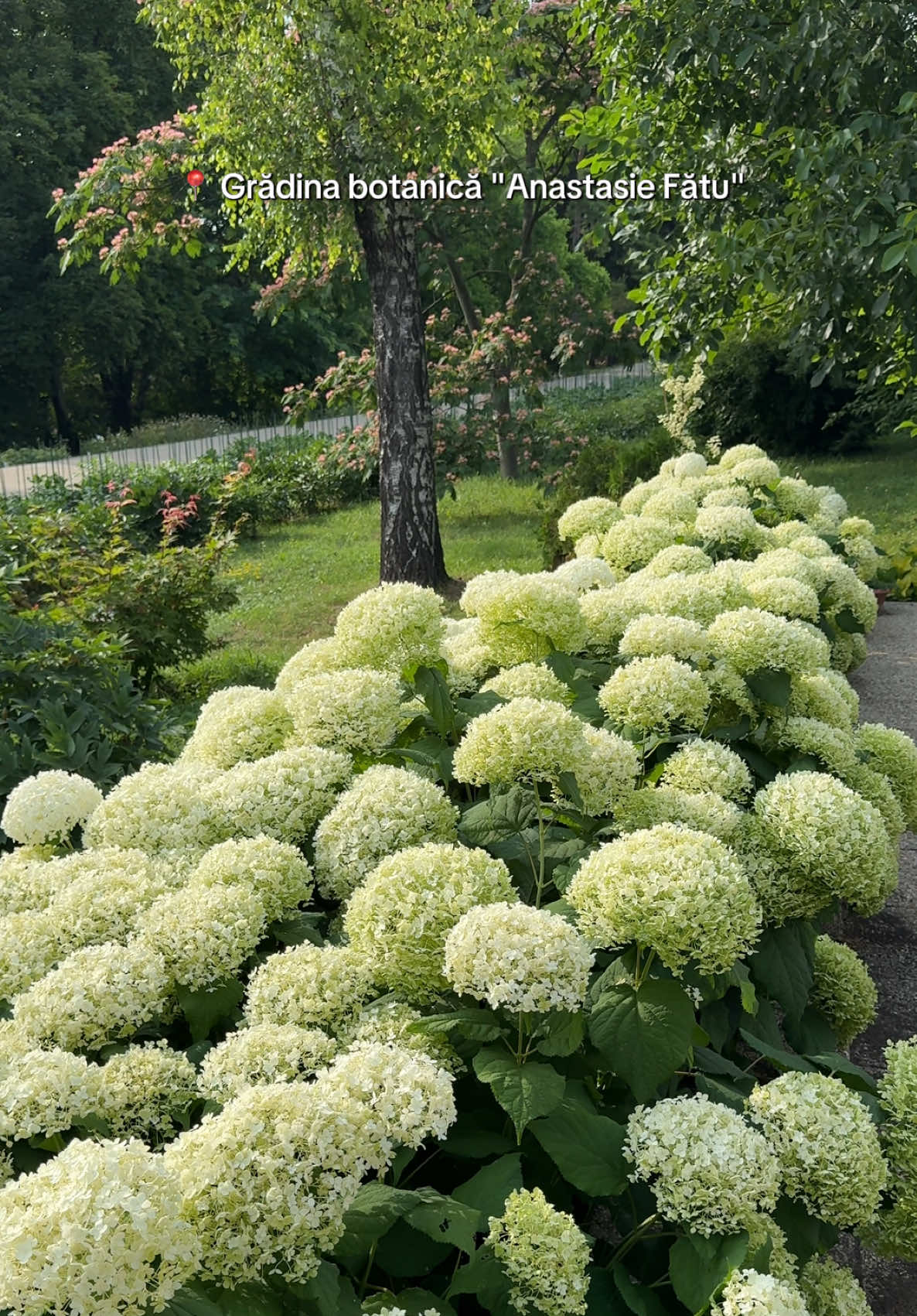 Grădina Botanică Anastasie Fătu (הגן הבוטני של יאש)