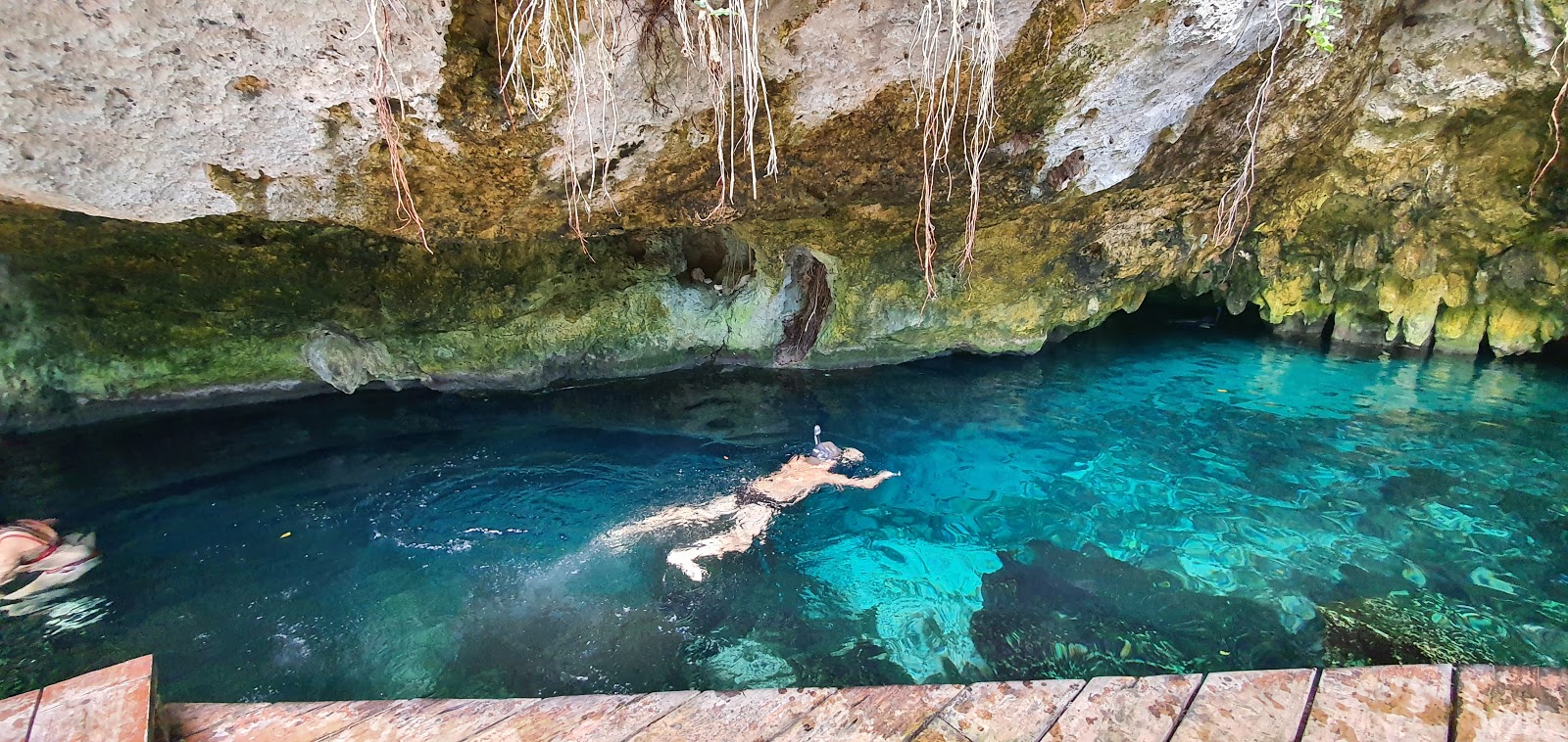 Gran Cenote