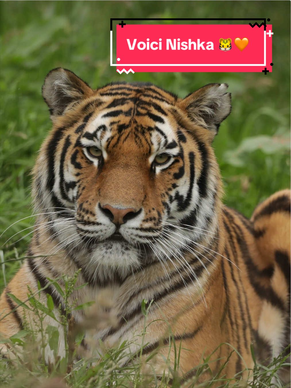Granby Zoo