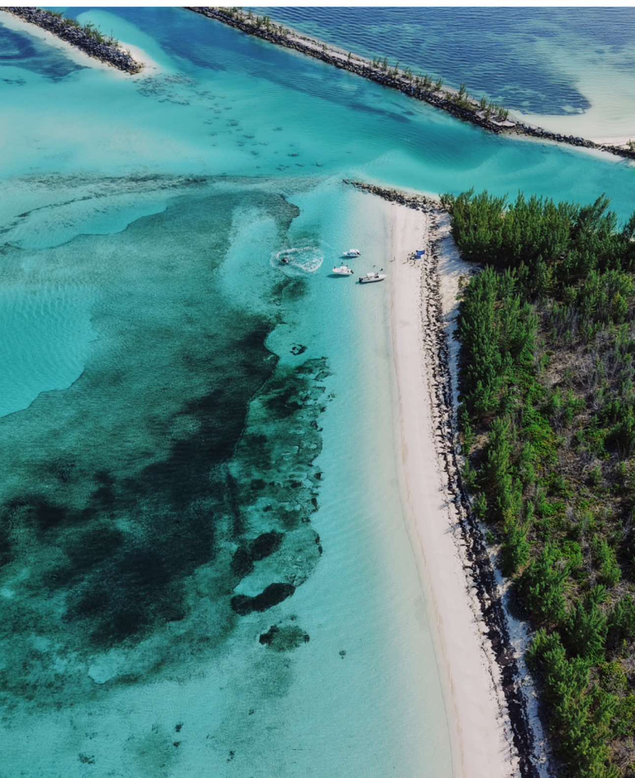 Grand Bahama Island