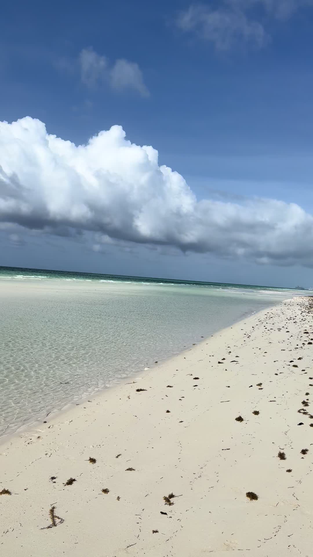 Grand Bahama Island