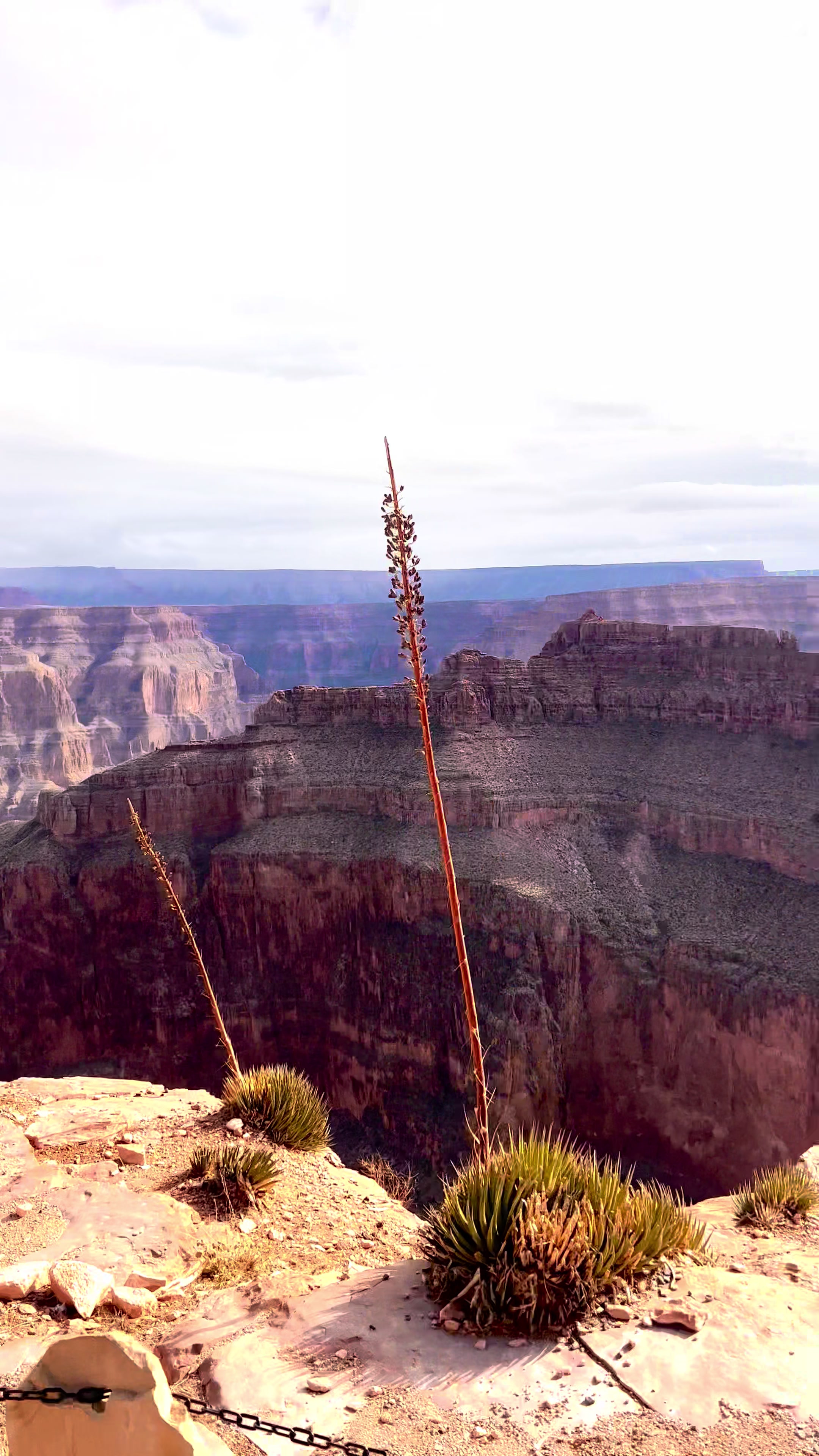 Grand Canyon National Park, AZ