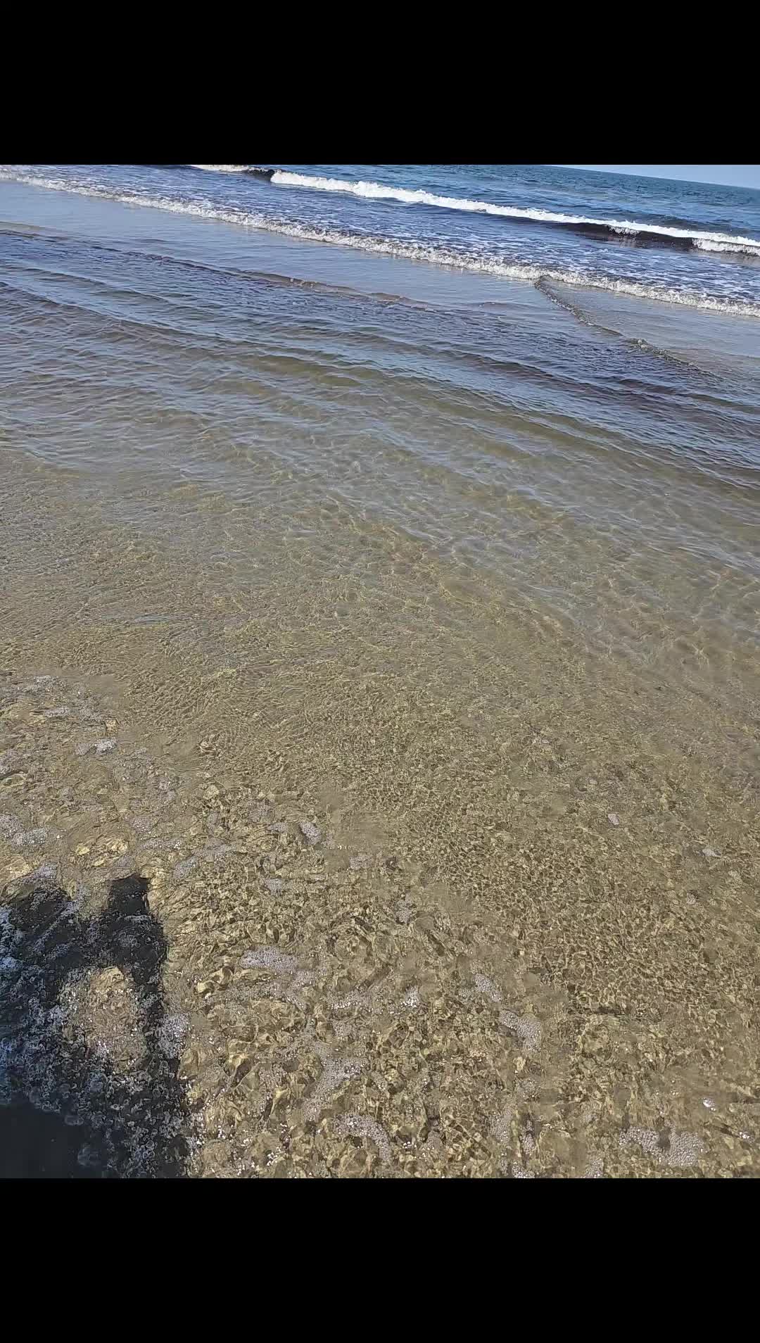 Grand Isle Beach, Grand Isle