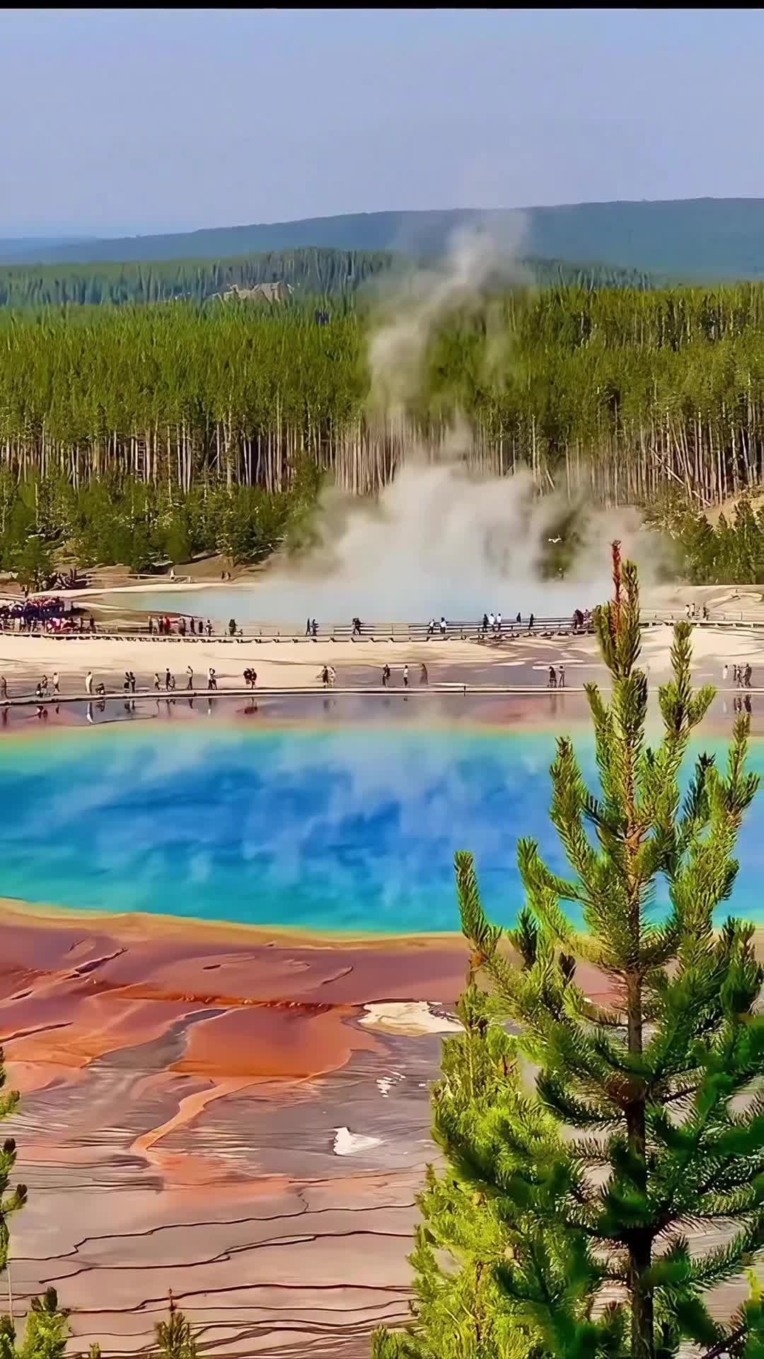 Grand Prismatic Spring