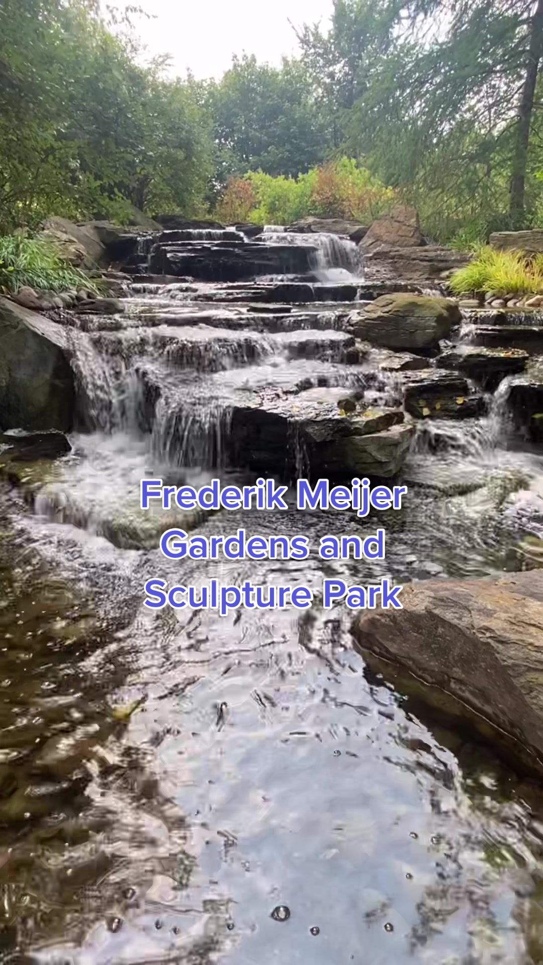 Grand Rapids, MI