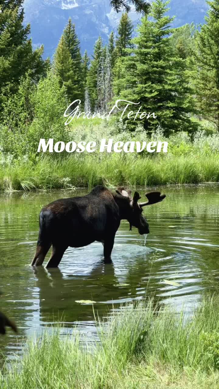 Grand Teton National Park, WY