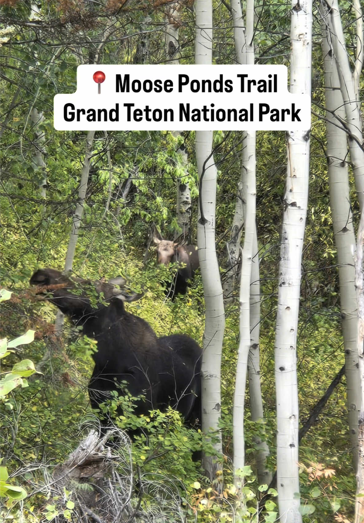Grand Teton National Park, WY