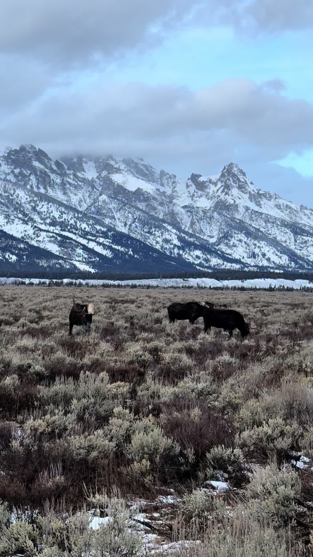 Grand Teton National Park, WY