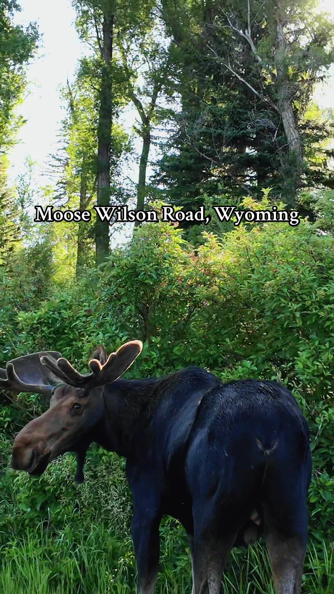 Grand Teton National Park