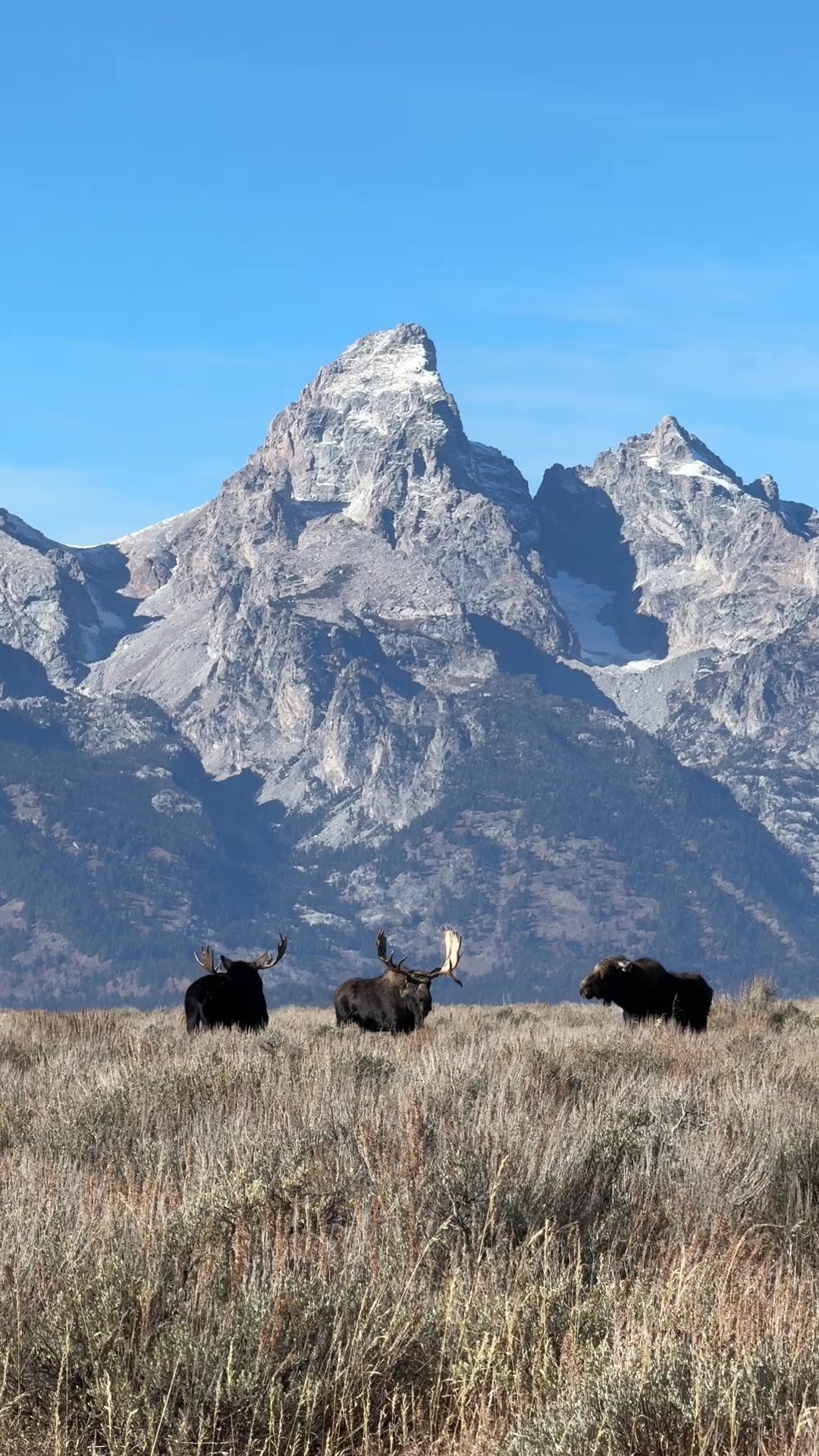 Grand Teton National Park