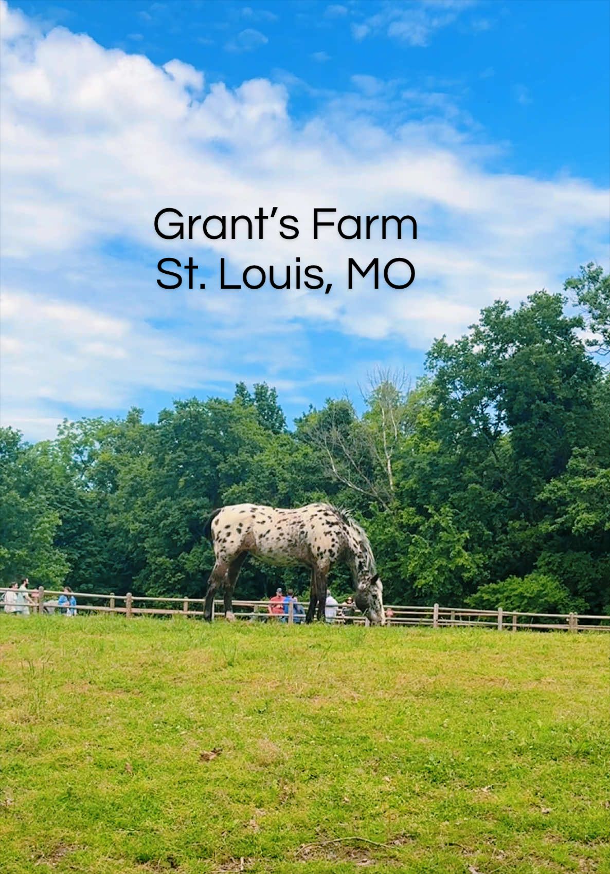 Grant's Trail